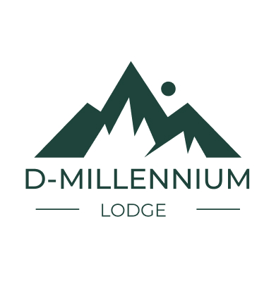 D-MILLENIUM LOGO